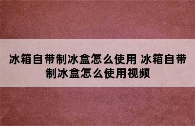 冰箱自带制冰盒怎么使用 冰箱自带制冰盒怎么使用视频